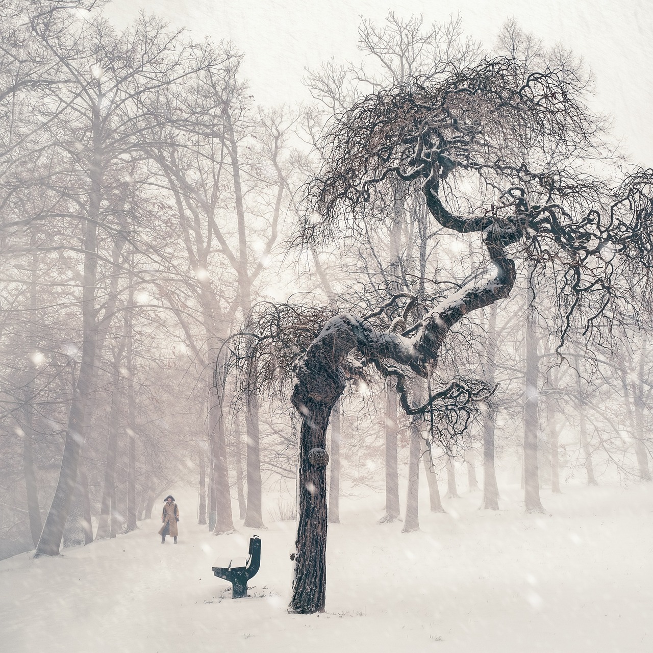 Harnessing the Power of Resilience in Traumatic Situations